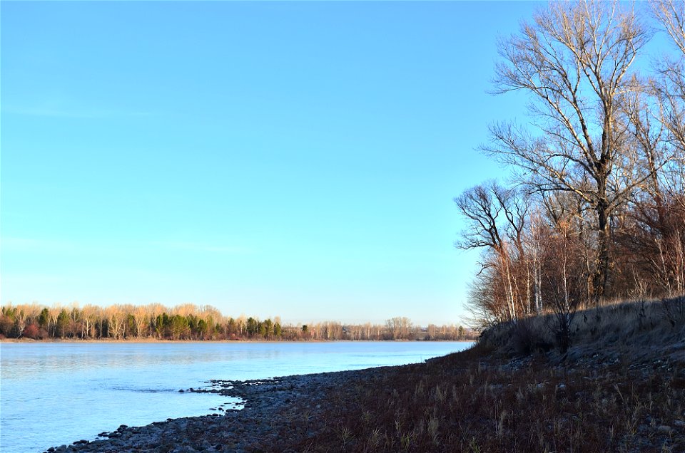 frosty morning on the river bank photo