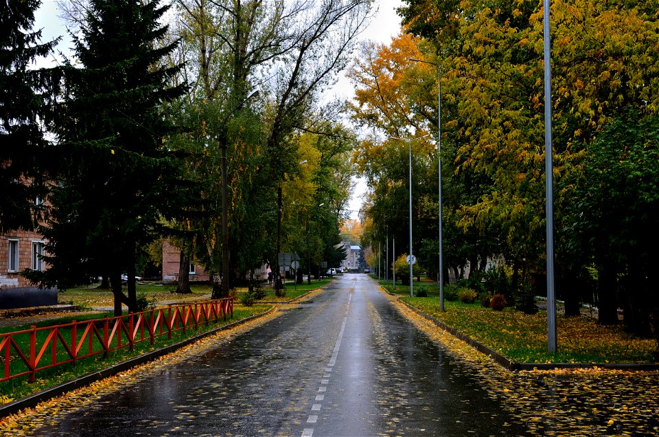city streets on a rainy autumn day