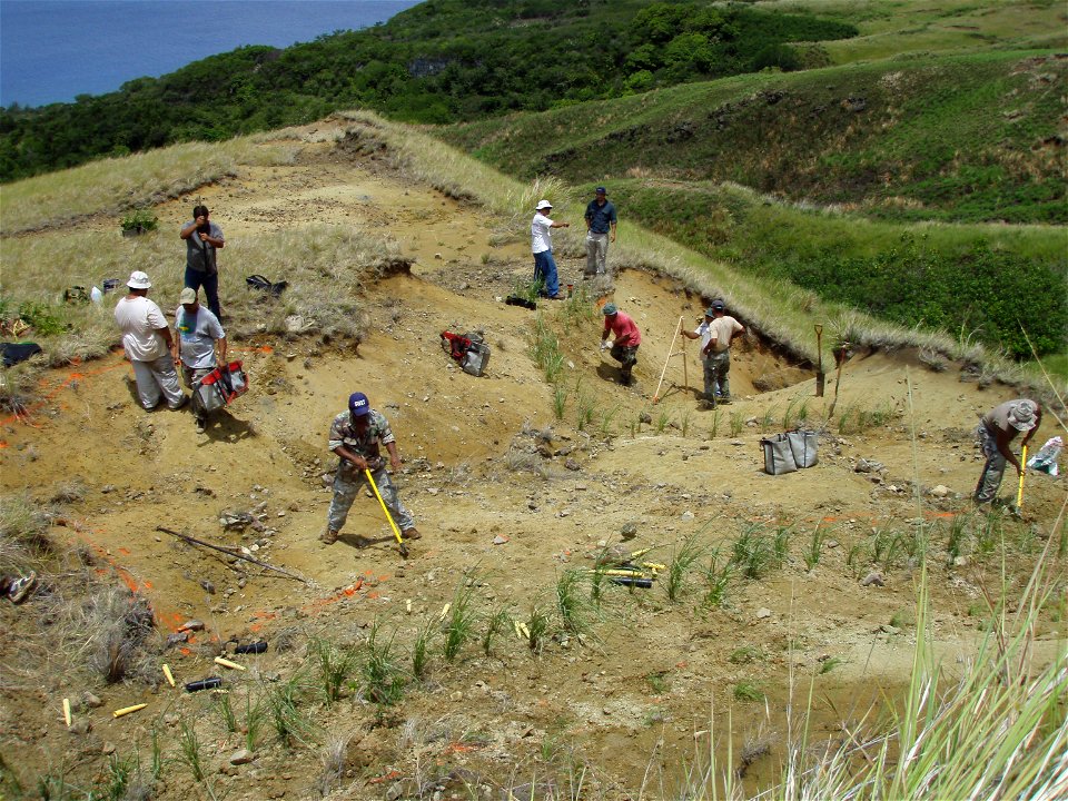 Transplanting Vetiver Grass