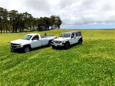 Truck and Jeep In the field photo