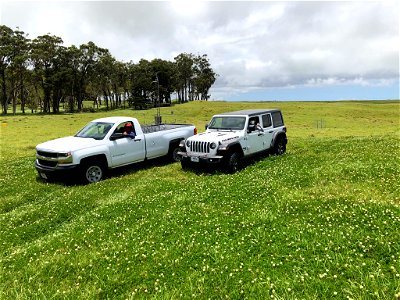 Truck and Jeep In the field