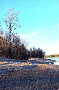 frosty morning on the river bank