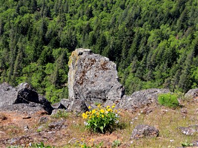 Coyote Wall in WA photo