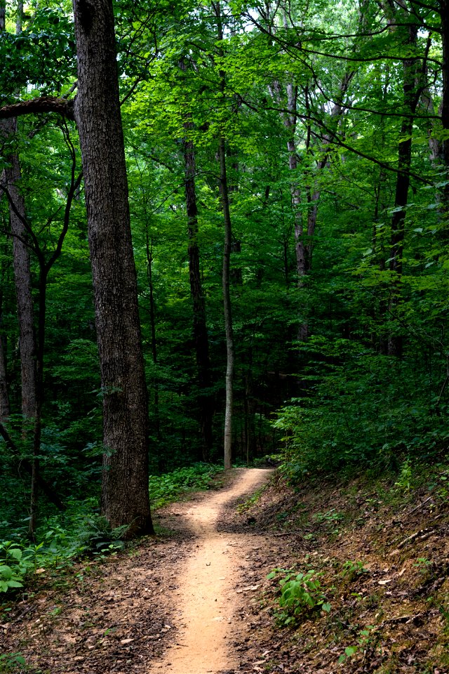 View of the Baileys Trail System