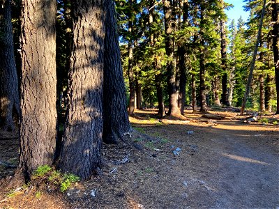 Three Sisters Wilderness in OR