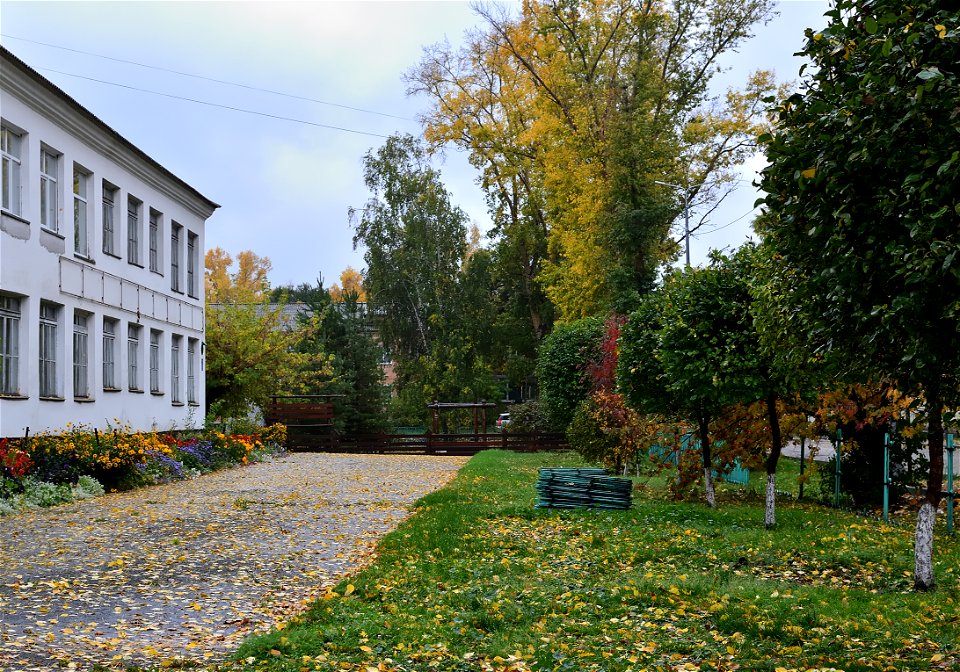 city streets on a rainy autumn day photo