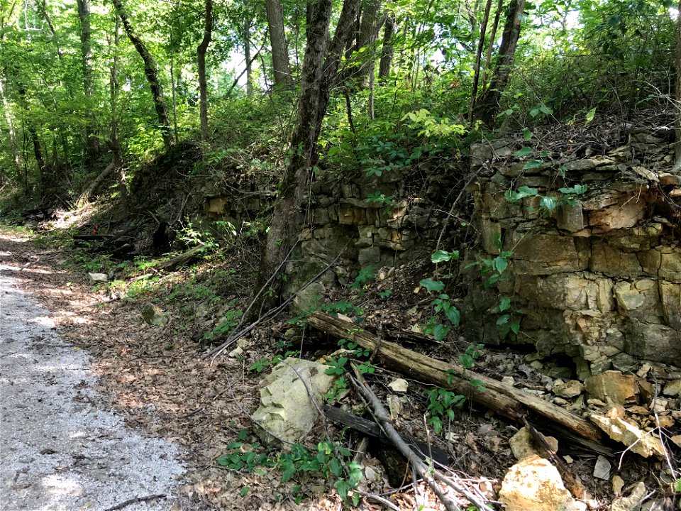 Railraod Cut in the Breezy Hill Limestone