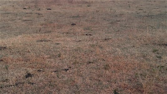 Howell 20220714-002-04 (KIMG0526)