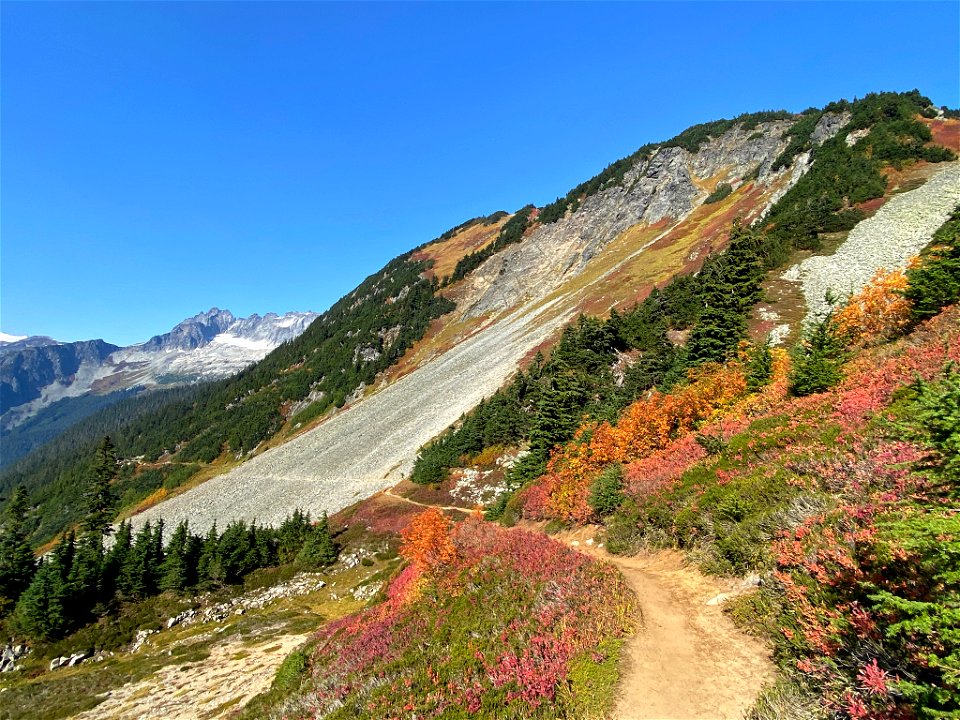 Cascade Pass in WA