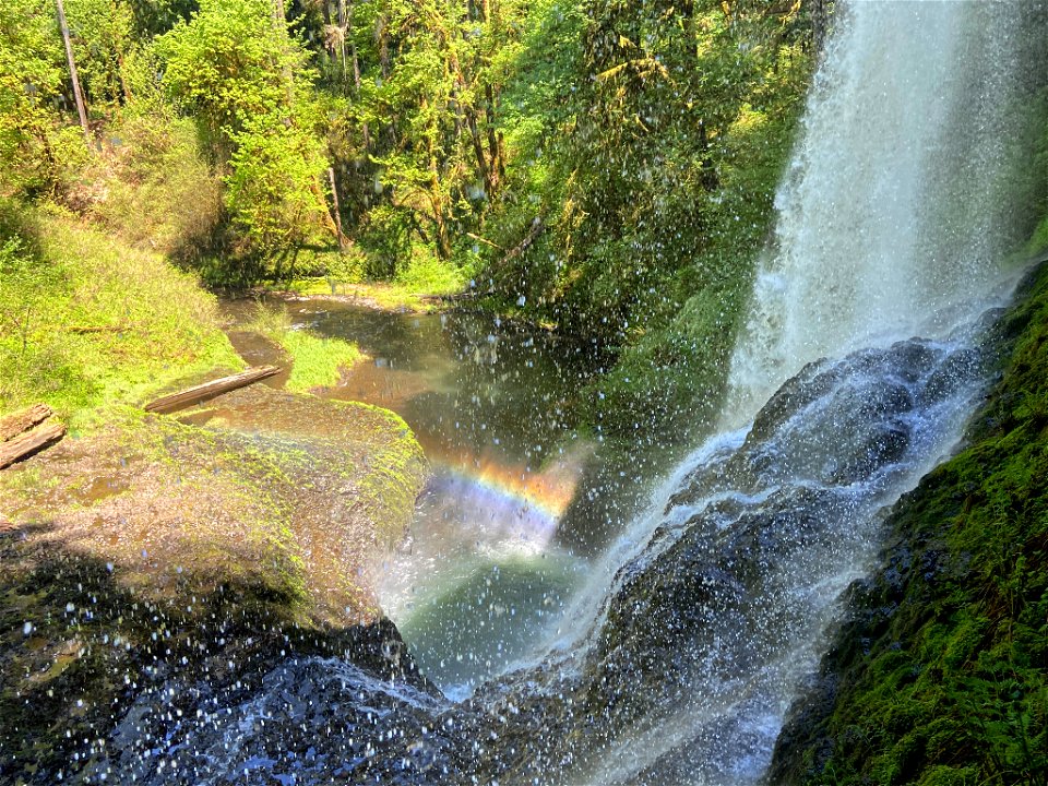 Middle North Falls and Trail of Ten Falls in OR
