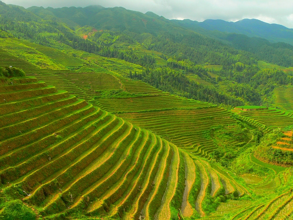 A Longji terrace in Longsheng county, Guilin, China