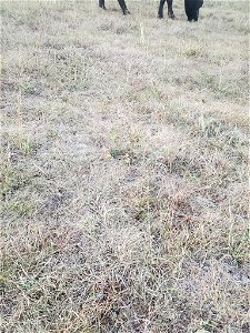 Lawrence 20220715-003-01 (drought+2022-2)