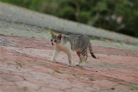 IMG_1615