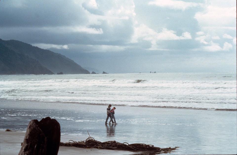 Strolling Crescent Beach