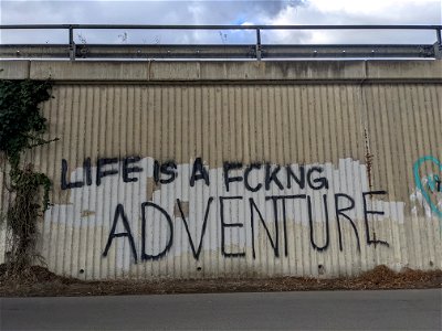 LIFE IS A FCKNG ADVENTURE photo