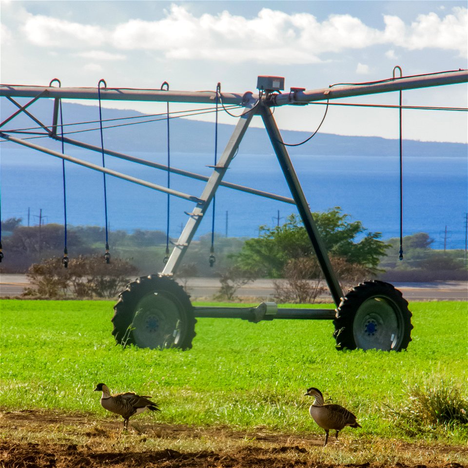 Agriculture and Wildlife