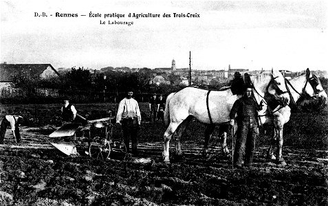 L'école d'agriculture de Rennes vers 1900 photo