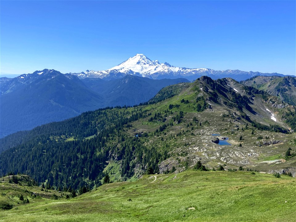 Yellow Aster Butte in WA