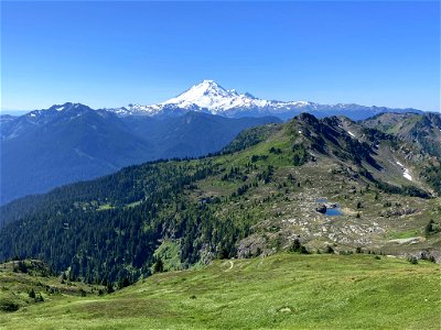 Yellow Aster Butte in WA