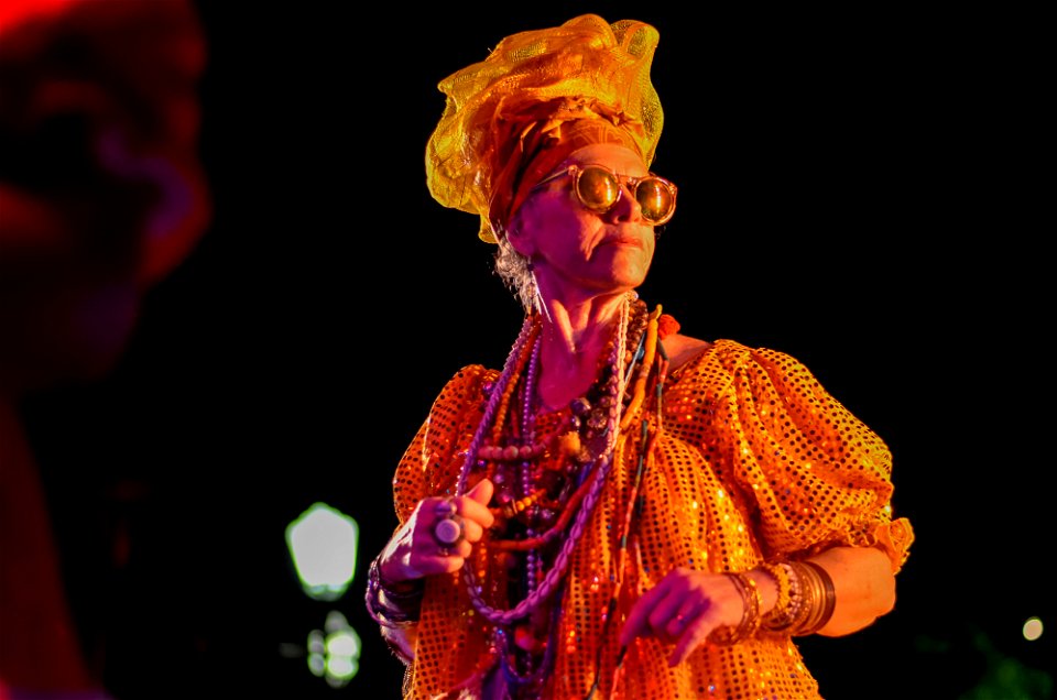 Abertura_Carnaval_Olinda_2017 (19)