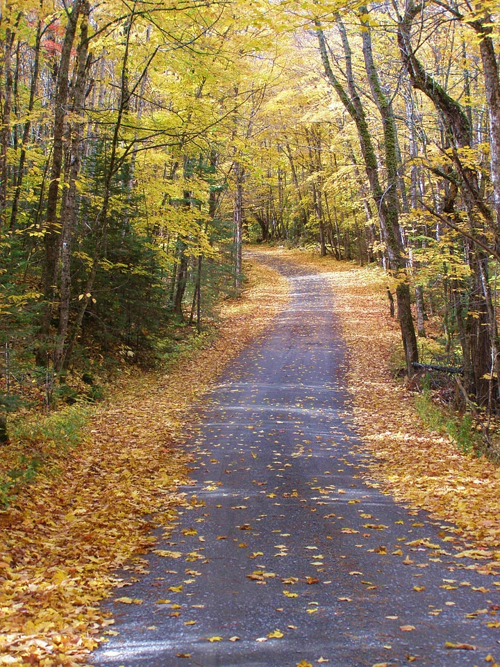 Landscape wilderness scenery