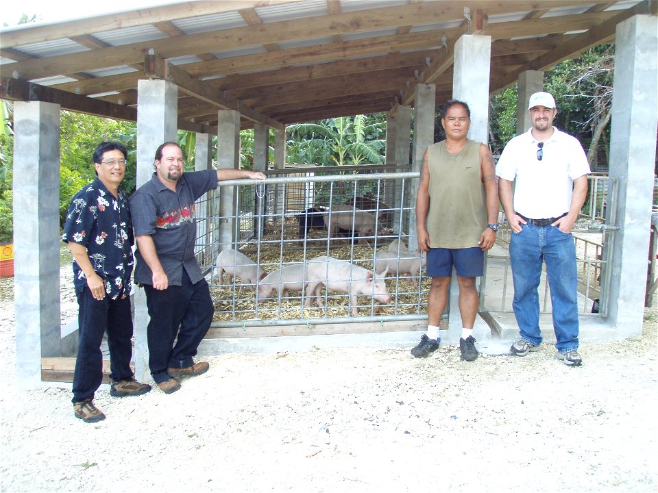 Dry Litter Piggery in Tinian photo