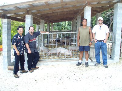Dry Litter Piggery in Tinian photo