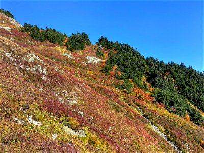 Cascade Pass in WA photo