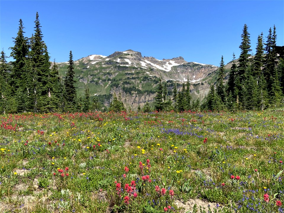 Goat Rocks Wilderness in WA