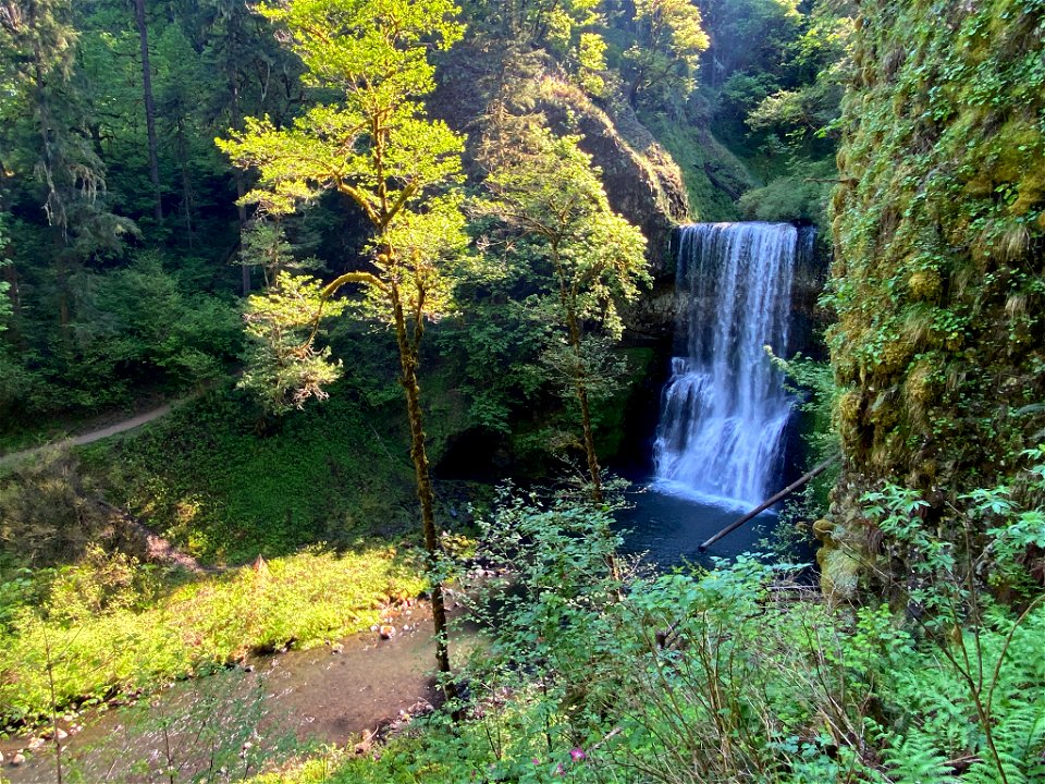 Lower South Falls and Trail of Ten Falls in OR