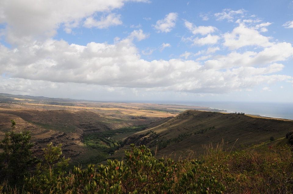 Overlooking Waimea Canyon State Park on the island of Kauai