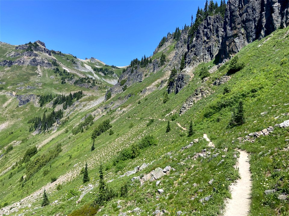 Goat Rocks Wilderness in WA