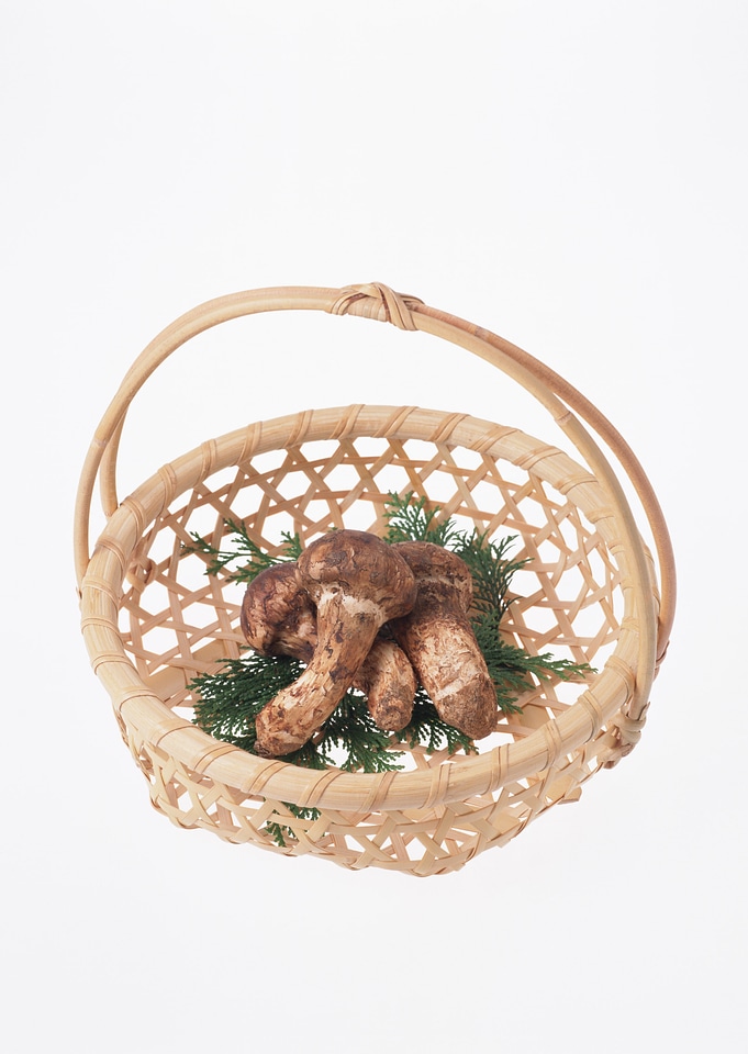 Matsutake Mushroom on a basket