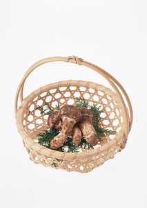 Matsutake Mushroom on a basket