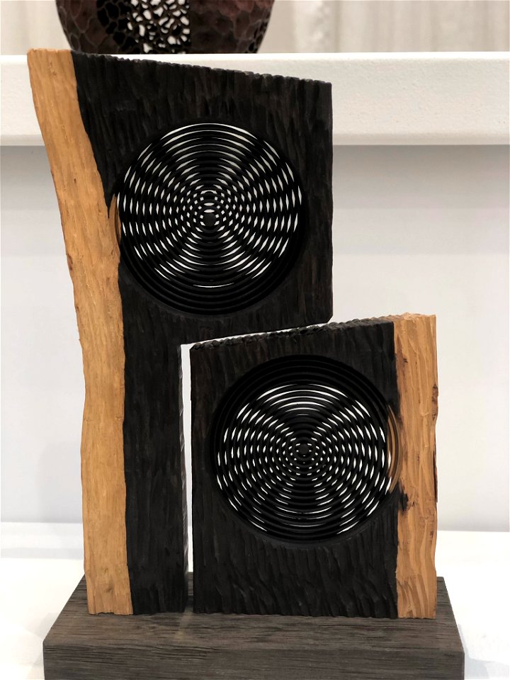 AAW 2022 Woodturners Symposium