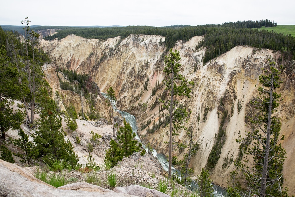 Yellowstone National Park, Wyoming USA