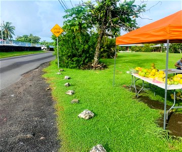Roadside Fruit Stand photo