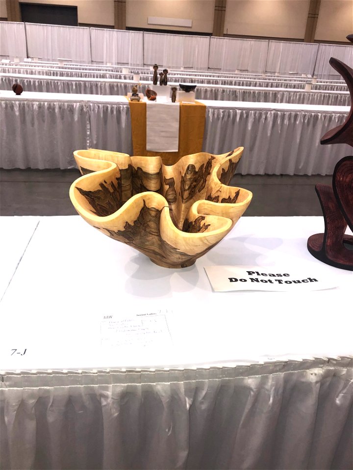 AAW 2022 Woodturners Symposium