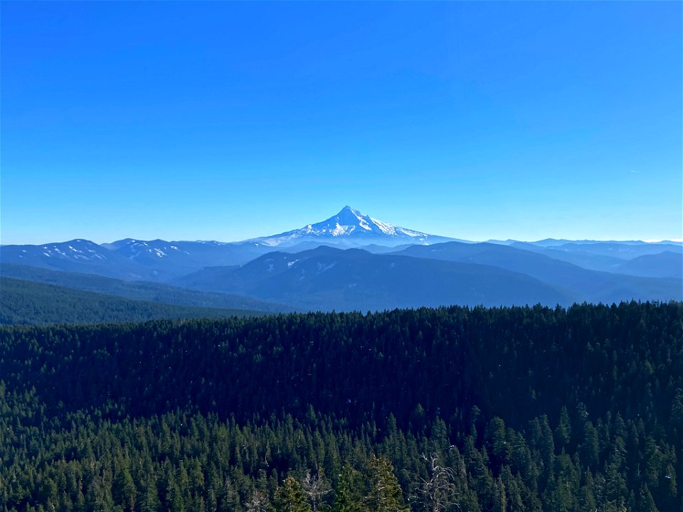 Sherrard Point in OR