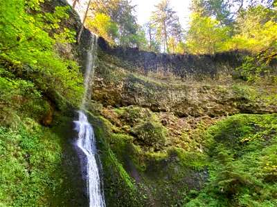 Trail of Ten Falls in OR photo