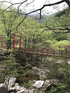 Gajisan state park in South Korea