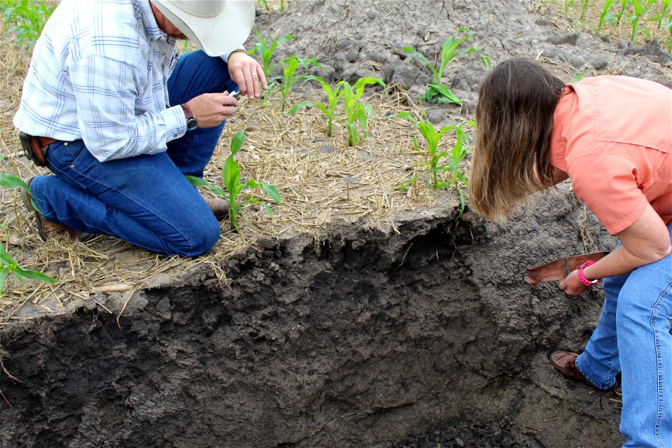 Victoria Soil Health Workshop  (1)