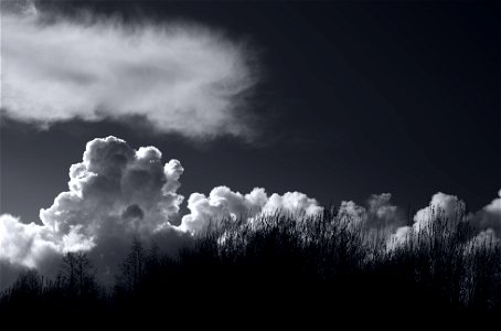 Clouds 2 photo
