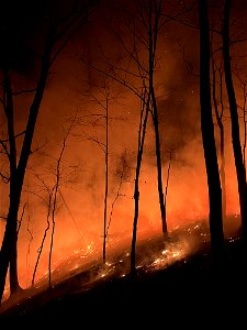 Kimble Complex Fire