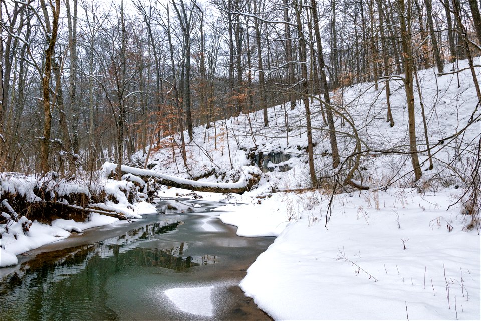 Winter Scene Along Big Bailey Run photo