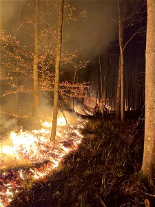 Kimble Complex Fire photo