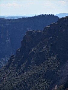 Evans Lookout III