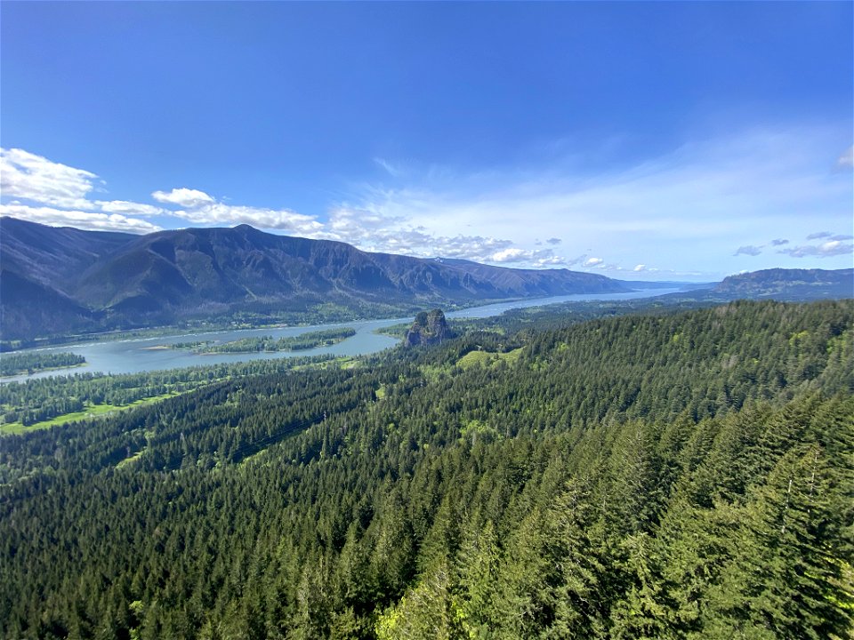 Hamilton Mountain in WA