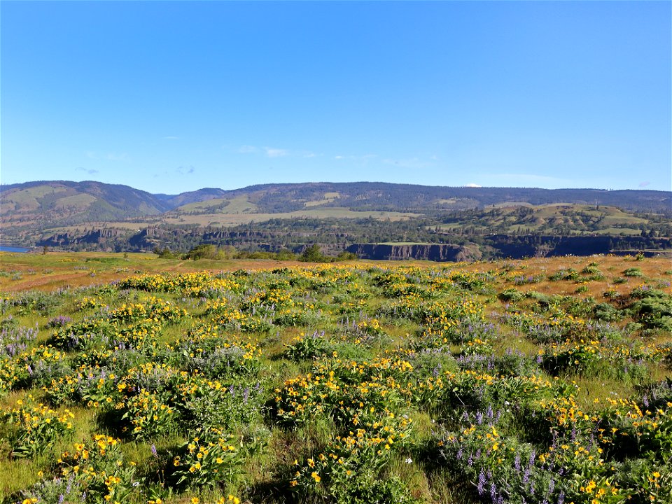 Rowena Plateau in OR
