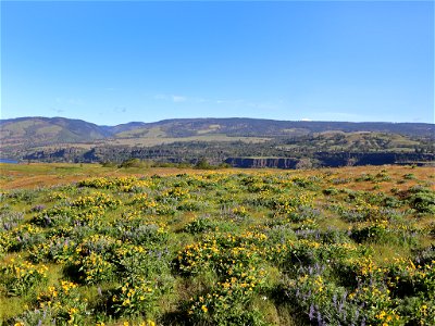 Rowena Plateau in OR photo